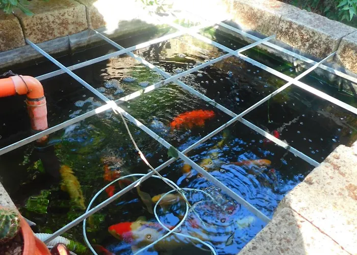 Hotel Dolores Rimini