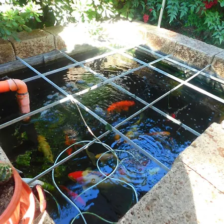 酒店 Dolores 里米尼