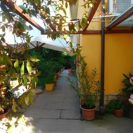 Dolores 3* Rimini